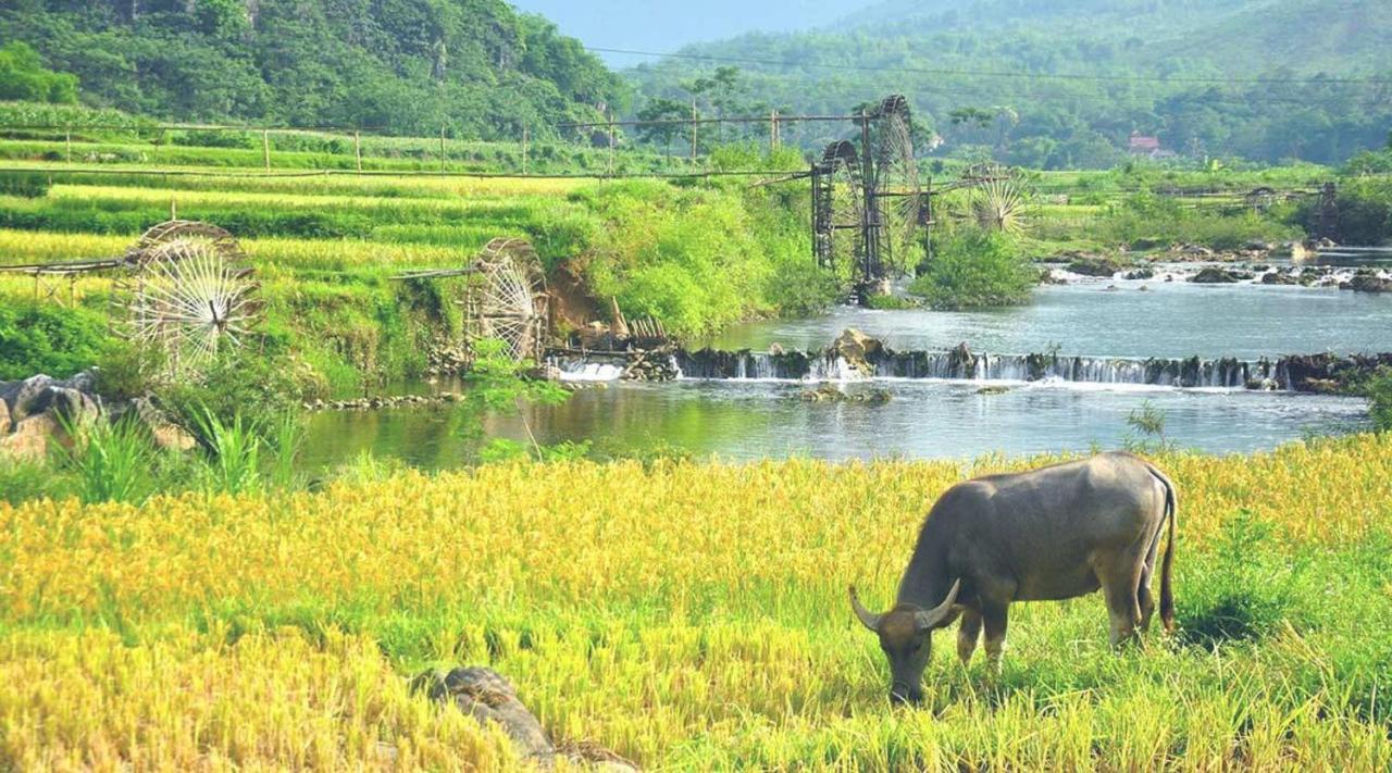 Pu Luong Boutique Garden Hotel Екстериор снимка